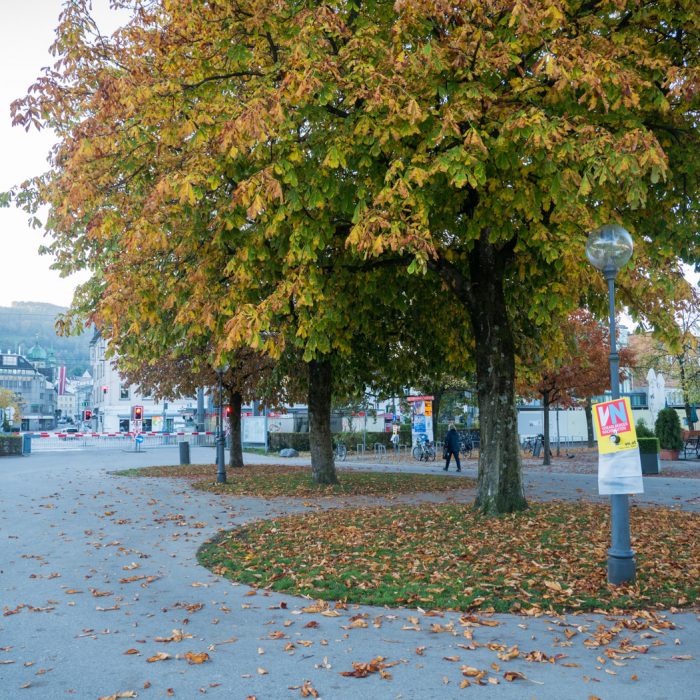 Bodenseefahrt 2018